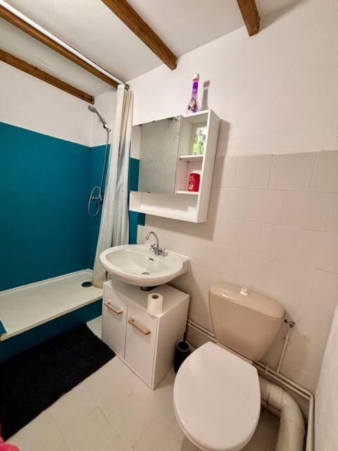 Studio Au Chateau De Lachau Ngoại thất bức ảnh